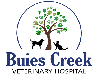 Buies Creek Veterinary Hospital Home